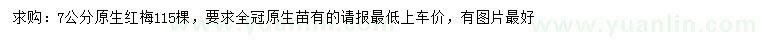 求購(gòu)7公分紅梅