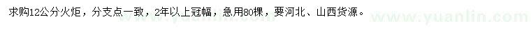 求購12公分火炬
