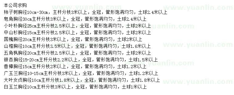 求購(gòu)柿子樹、皂角、小葉樸等