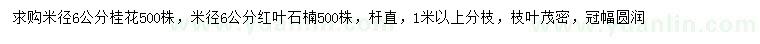 求購(gòu)米徑6公分桂花、紅葉石楠