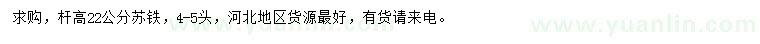 求購(gòu)桿高22公分蘇鐵
