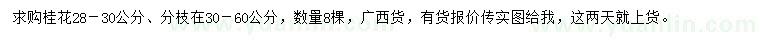 求購28-30公分桂花