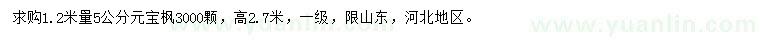 求購1.2米量5公分元寶楓