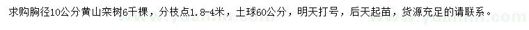 求購(gòu)胸徑10公分黃山欒樹(shù)