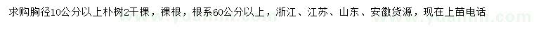 求購胸徑10公分以上樸樹