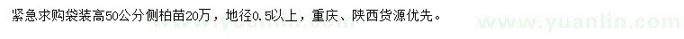 求購高50公分側柏苗