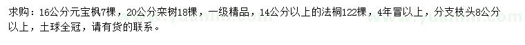 求購(gòu)元寶楓、欒樹(shù)、法桐