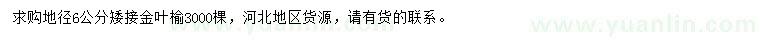 求購地徑6公分矮接金葉榆