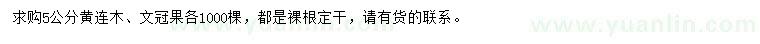 求購5公分黃連木、文冠果