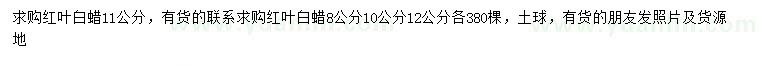 求購8、10、11、12公分紅葉白蠟