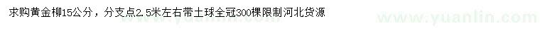 求購15公分黃金柳