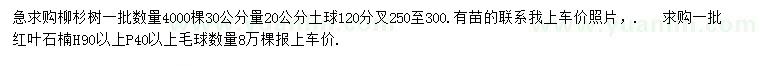 求購(gòu)30公分量20公分柳杉、高90公分以上紅葉石楠毛球