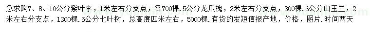 求購紫葉李、龍爪槐、山玉蘭等