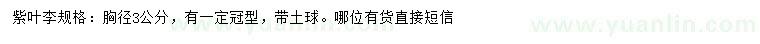 求購胸徑3公分紫葉李