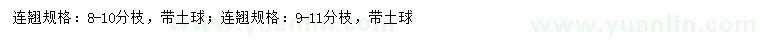 求購(gòu)8-11分枝連翹