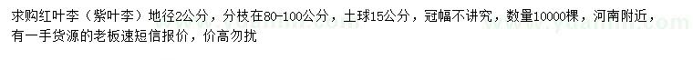 求購地徑2公分紅葉李、紫葉李