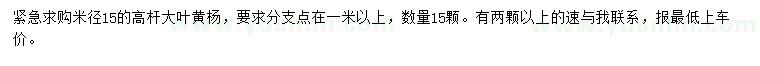 求購(gòu)米徑15公分高桿大葉黃楊