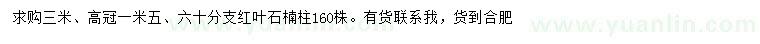 求購(gòu)高3米紅葉石楠柱