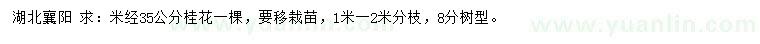 求購米徑35公分桂花