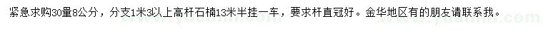 求購30量8公分高桿石楠