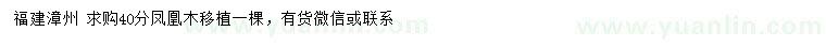 求購(gòu)40公分鳳凰木