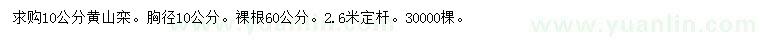 求購胸徑10公分黃山欒