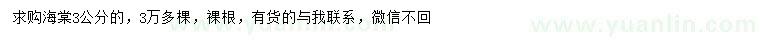 求購3公分海棠
