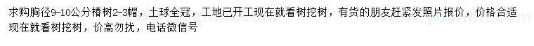 求購胸徑9-10公分椿樹