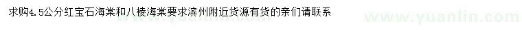 求購4、5公分紅寶石海棠、八棱海棠