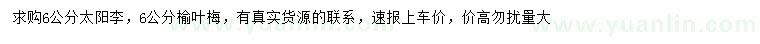 求購(gòu)6公分太陽(yáng)李、榆葉梅