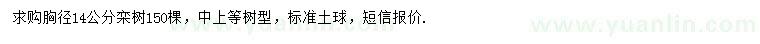 求購(gòu)胸徑14公分欒樹