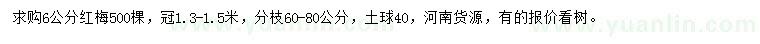 求購6公分紅梅