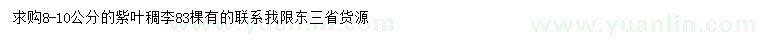 求購8-10公分紫葉稠李