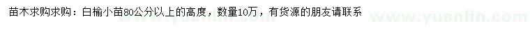 求購(gòu)高80公分以上白榆小苗