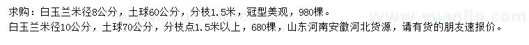 求購米徑8、10公分白玉蘭