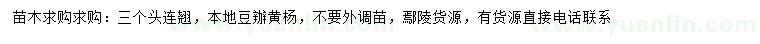 求購3公分個頭連翹、本地豆辦黃楊