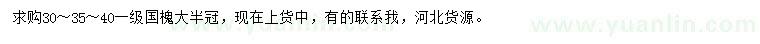 求購30、35、40公分國槐