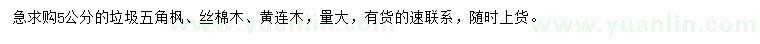 求購五角楓、絲棉木、黃連木