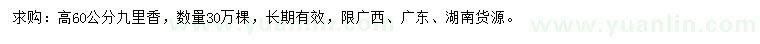 求購(gòu)高60公分九里香