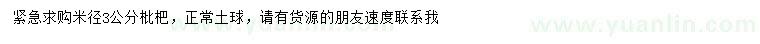 求購米徑3公分枇杷