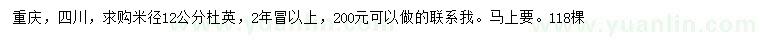 求購米徑12公分杜英