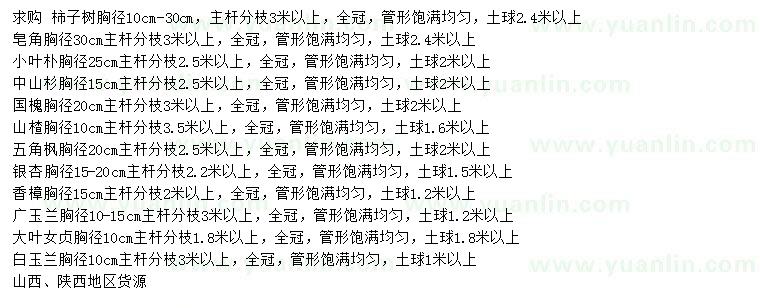 求購(gòu)柿子樹(shù)、皂角、小葉樸等