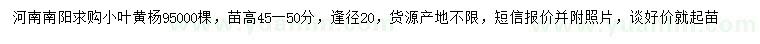 求購(gòu)高45-50公分小葉黃楊