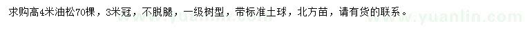 求購高4米油松