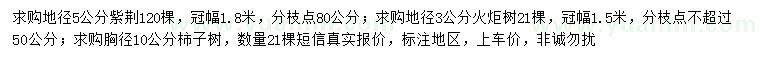 求購紫荊、火炬樹、柿子樹