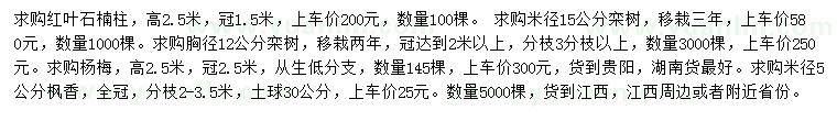 求購紅葉石楠柱、欒樹、楊梅等