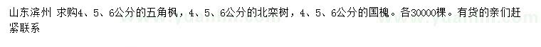 求購五角楓、北欒樹、國槐