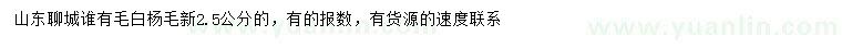 求購2.5公分新毛白楊毛