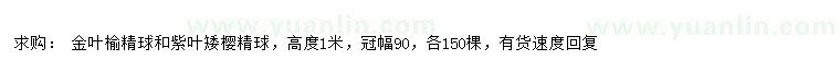 求購高1米金葉榆精球、紫葉矮櫻精球