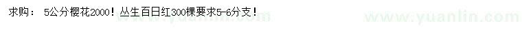 求購(gòu)5公分櫻花